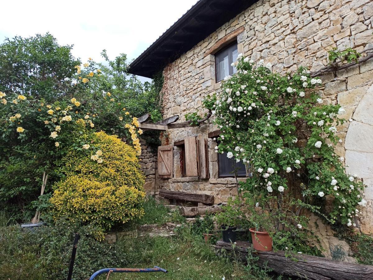 Casa Rural Ttipiaenea Landetxea Ariz  Exterior foto