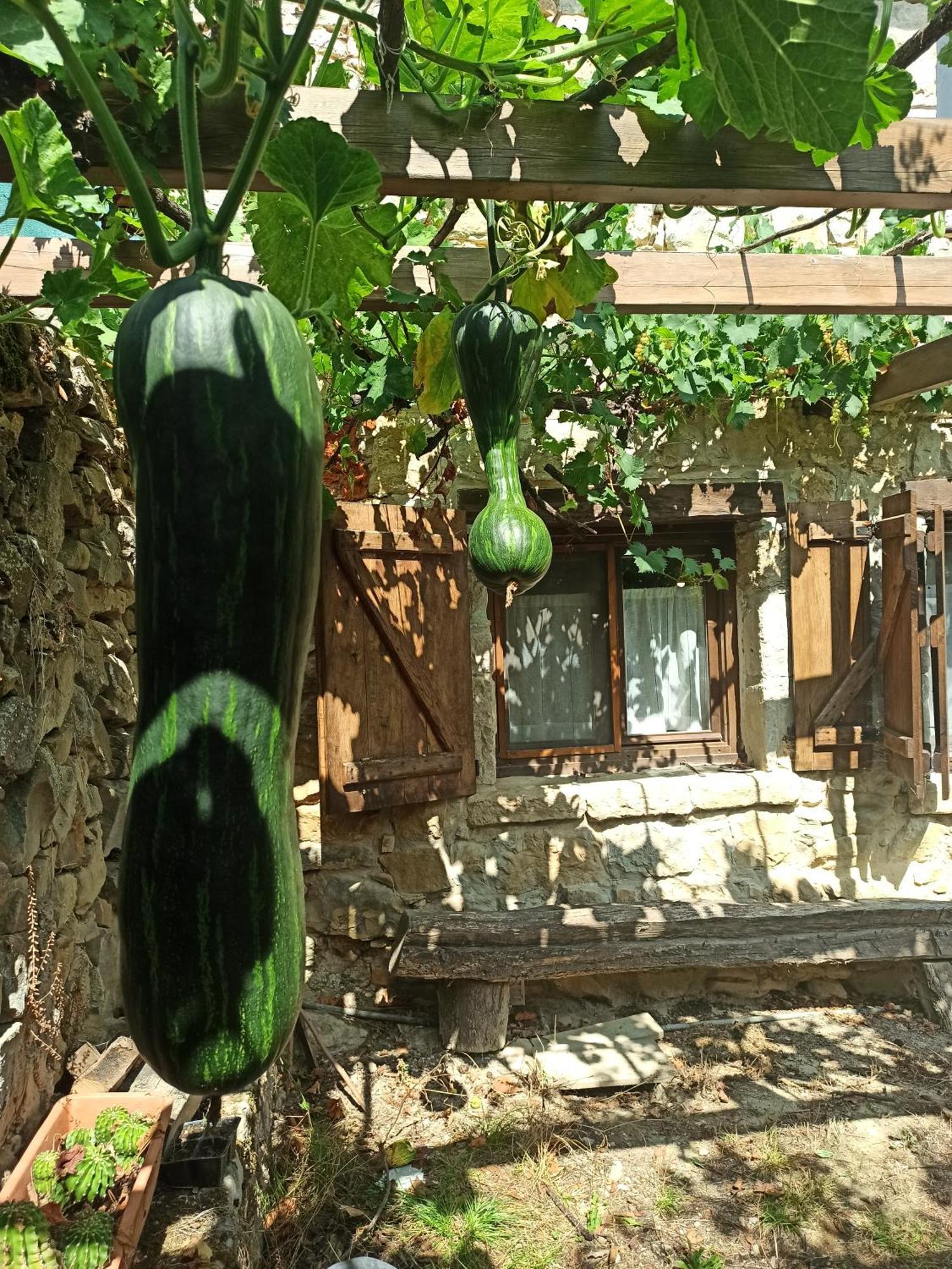 Casa Rural Ttipiaenea Landetxea Ariz  Exterior foto